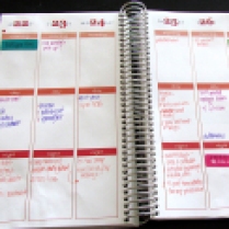 The Week Section in my LIfe Planner